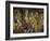 Grape Harvest, C1475-null-Framed Giclee Print