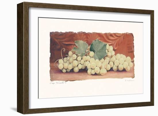 Grape Harvest II-Amy Melious-Framed Art Print