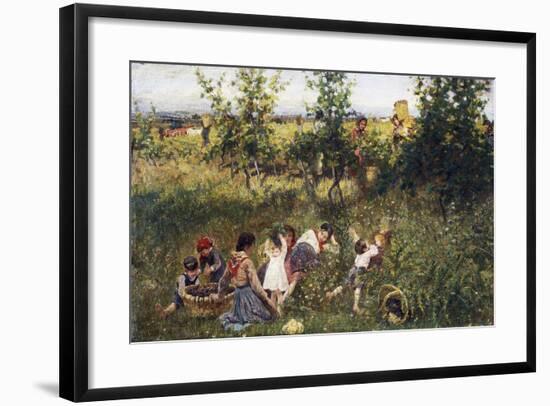 Grape Harvest-Francesco Gioli-Framed Giclee Print