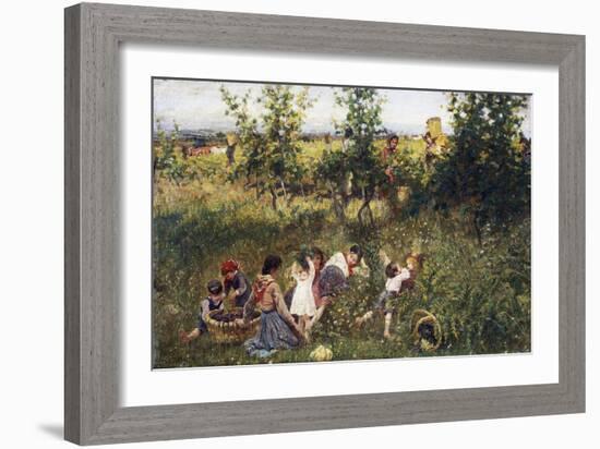 Grape Harvest-Francesco Gioli-Framed Giclee Print