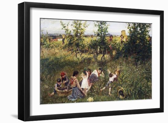 Grape Harvest-Francesco Gioli-Framed Giclee Print