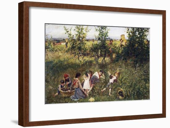 Grape Harvest-Francesco Gioli-Framed Giclee Print