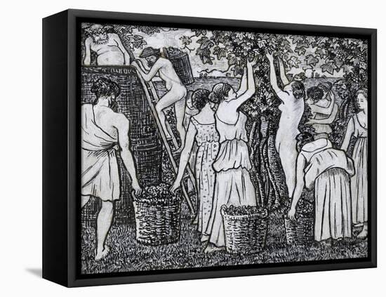 Grape Harvest-Camille Pissarro-Framed Premier Image Canvas