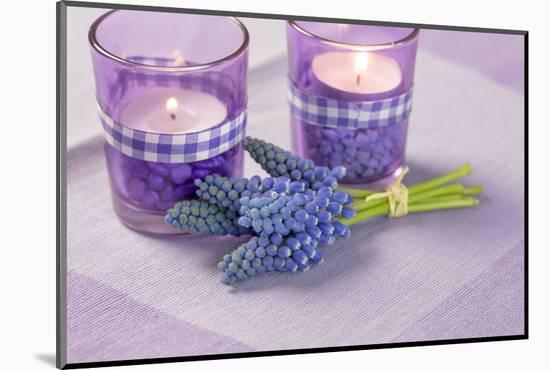 Grape hyacinths in front of candles, close up, still life-Andrea Haase-Mounted Photographic Print