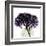 Grape Hydrangea-Albert Koetsier-Framed Art Print