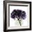 Grape Hydrangea-Albert Koetsier-Framed Art Print