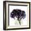 Grape Hydrangea-Albert Koetsier-Framed Art Print