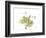 Grape Leaves and Tendrils, X-ray-Koetsier Albert-Framed Photographic Print