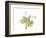 Grape Leaves and Tendrils, X-ray-Koetsier Albert-Framed Photographic Print