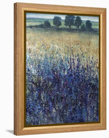 Grape Seeds And Blueberries-Tim O'toole-Framed Premier Image Canvas
