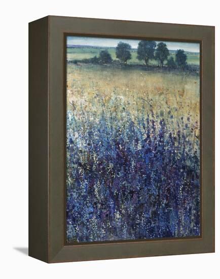 Grape Seeds And Blueberries-Tim O'toole-Framed Premier Image Canvas