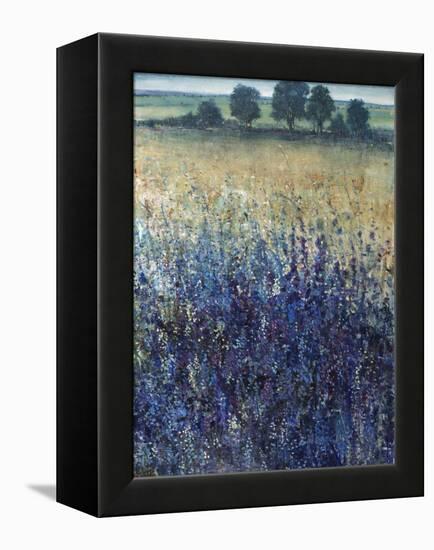 Grape Seeds And Blueberries-Tim O'toole-Framed Premier Image Canvas