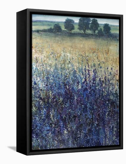 Grape Seeds And Blueberries-Tim O'toole-Framed Premier Image Canvas