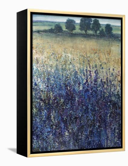 Grape Seeds And Blueberries-Tim O'toole-Framed Premier Image Canvas
