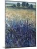 Grape Seeds And Blueberries-Tim O'toole-Mounted Giclee Print
