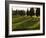 Grape Vines and Cypress Trees in Spring in Tuscany-Herbert Lehmann-Framed Photographic Print