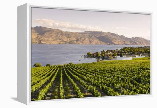 Grape Vines and Okanagan Lake at Quails Gate Winery-Michael DeFreitas-Framed Premier Image Canvas