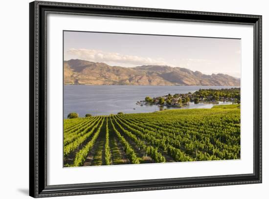 Grape Vines and Okanagan Lake at Quails Gate Winery-Michael DeFreitas-Framed Photographic Print