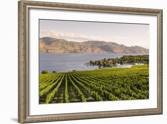 Grape Vines and Okanagan Lake at Quails Gate Winery-Michael DeFreitas-Framed Photographic Print