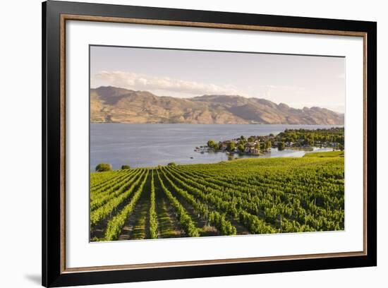 Grape Vines and Okanagan Lake at Quails Gate Winery-Michael DeFreitas-Framed Photographic Print