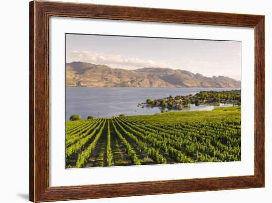 Grape Vines and Okanagan Lake at Quails Gate Winery-Michael DeFreitas-Framed Photographic Print