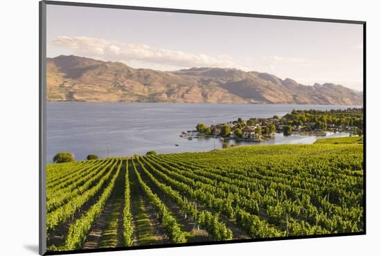 Grape Vines and Okanagan Lake at Quails Gate Winery-Michael DeFreitas-Mounted Photographic Print