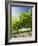 Grape Vines in Barossa Valley-Jon Hicks-Framed Photographic Print