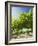 Grape Vines in Barossa Valley-Jon Hicks-Framed Photographic Print