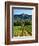 Grape Vines in Northern California Near Mendocino-Michael DeFreitas-Framed Photographic Print