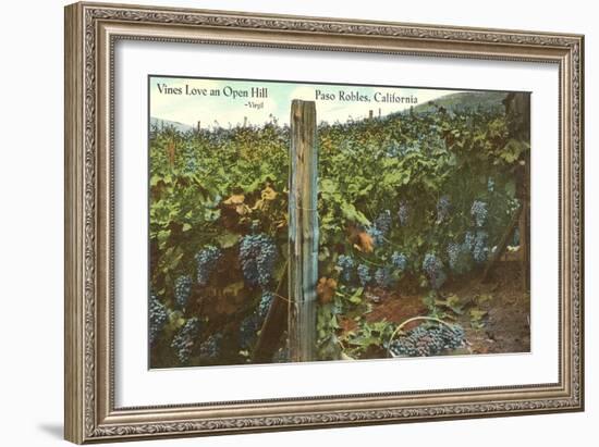 Grape Vines in Paso Robles-null-Framed Art Print