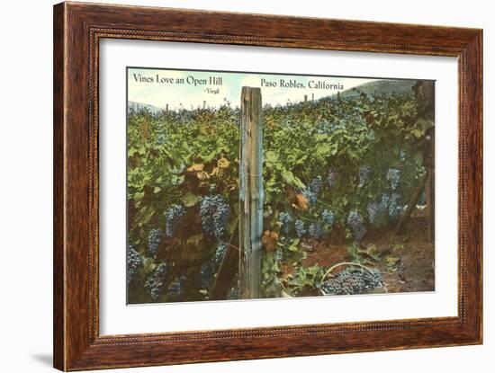 Grape Vines in Paso Robles-null-Framed Art Print