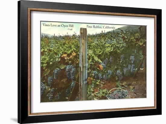 Grape Vines in Paso Robles-null-Framed Art Print