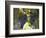 Grape Vines, Languedoc, France, Europe-Martin Child-Framed Photographic Print