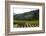 Grape Vines Ripening in the Sun at a Vineyard in the Alto Douro Region, Portugal, Europe-Alex Treadway-Framed Photographic Print