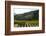 Grape Vines Ripening in the Sun at a Vineyard in the Alto Douro Region, Portugal, Europe-Alex Treadway-Framed Photographic Print