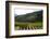 Grape Vines Ripening in the Sun at a Vineyard in the Alto Douro Region, Portugal, Europe-Alex Treadway-Framed Photographic Print