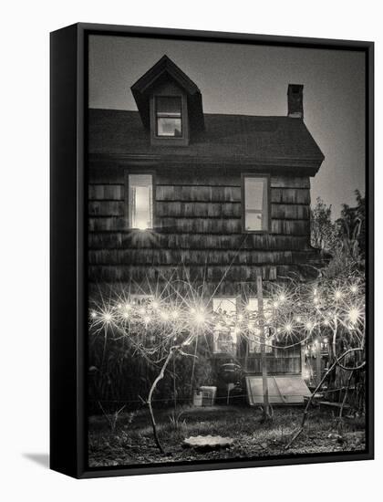 Grape Vines-Geoffrey Ansel Agrons-Framed Premier Image Canvas