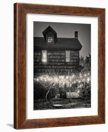 Grape Vines-Geoffrey Ansel Agrons-Framed Photographic Print