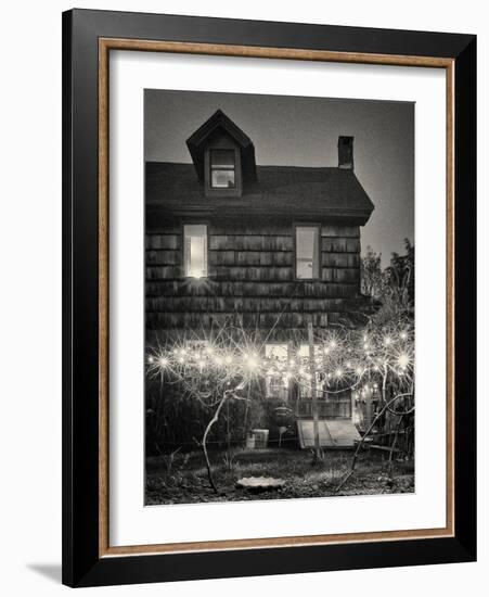 Grape Vines-Geoffrey Ansel Agrons-Framed Photographic Print