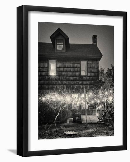 Grape Vines-Geoffrey Ansel Agrons-Framed Photographic Print