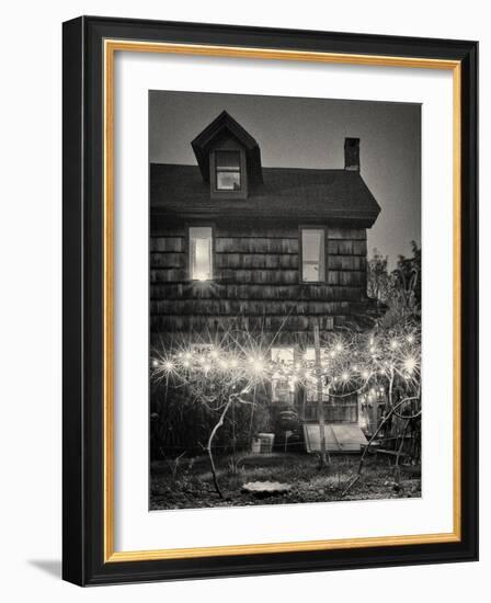 Grape Vines-Geoffrey Ansel Agrons-Framed Photographic Print