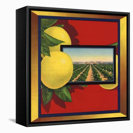 Grapefruit and Orchard - Citrus Crate Label-Lantern Press-Framed Stretched Canvas