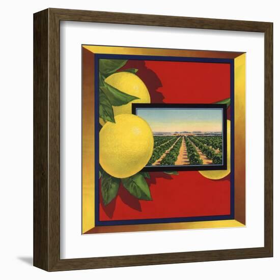 Grapefruit and Orchard - Citrus Crate Label-Lantern Press-Framed Art Print