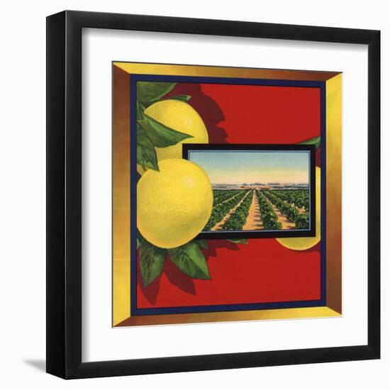 Grapefruit and Orchard - Citrus Crate Label-Lantern Press-Framed Art Print