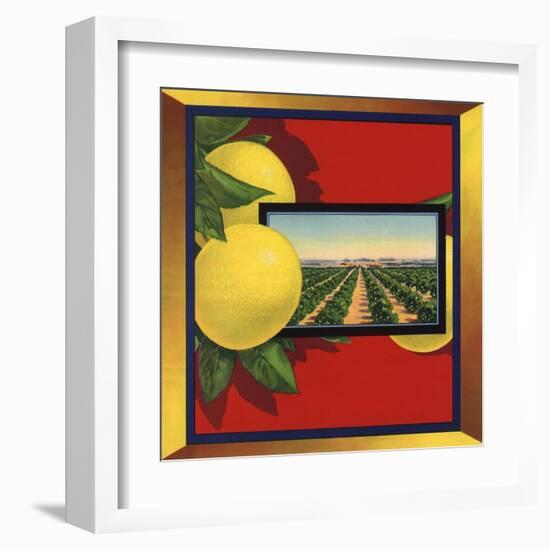 Grapefruit and Orchard - Citrus Crate Label-Lantern Press-Framed Art Print