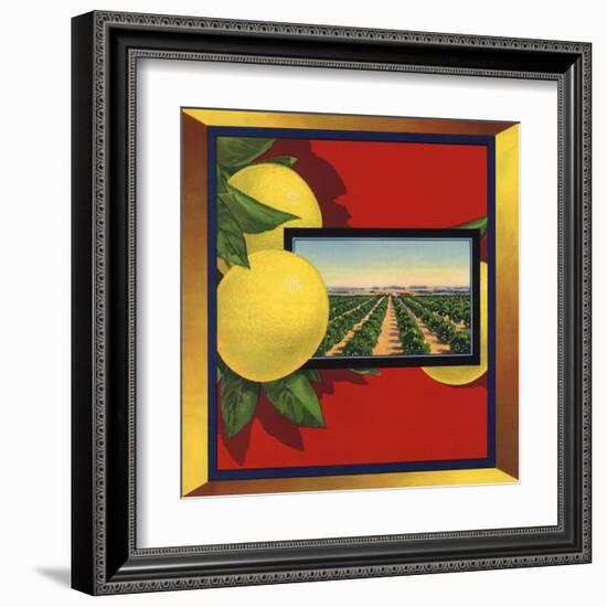 Grapefruit and Orchard - Citrus Crate Label-Lantern Press-Framed Art Print