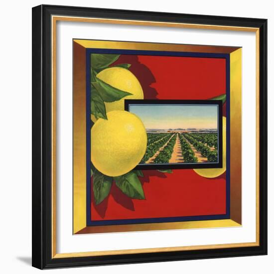 Grapefruit and Orchard - Citrus Crate Label-Lantern Press-Framed Art Print