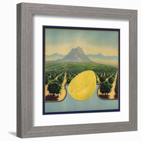 Grapefruit and Orchard - Citrus Crate Label-Lantern Press-Framed Art Print