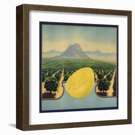 Grapefruit and Orchard - Citrus Crate Label-Lantern Press-Framed Art Print