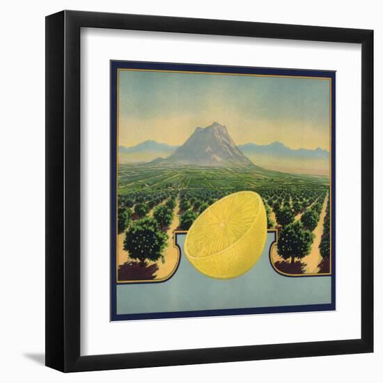 Grapefruit and Orchard - Citrus Crate Label-Lantern Press-Framed Art Print